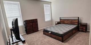 6302 Oracle Drive Gallery 8