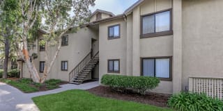 Spring Lakes Apartment Homes Gallery 18