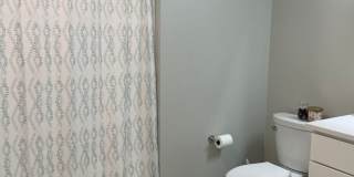 Beautiful Southie apartment Gallery 6
