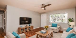 1395 Tallberry Drive Gallery 7