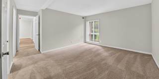 The Forest Apartments Gallery 19
