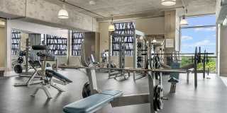 Allure Hermann Park Gallery 37