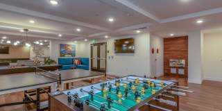 Vineyards Gallery 23