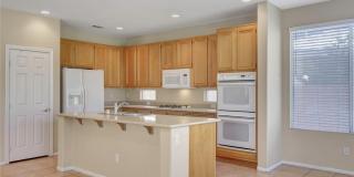 3432 Yellow Cove Lane Gallery 12