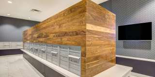 LPM Apartments Gallery 31