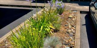 Camino Woods Gallery 16
