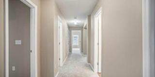 11239 JUSTIN OAKS Drive N Gallery 16