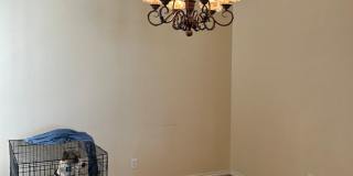 Beautiful Home in Stonegate!! Gallery 7
