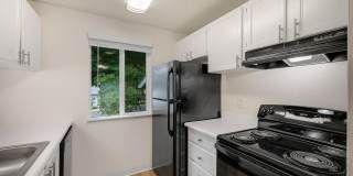 ReNew Dash Point Gallery 27