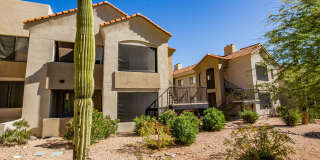 The Legends at La Paloma Gallery 2