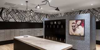 Core Link at Douglas Gallery 22