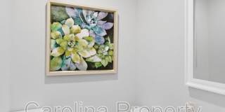 10429 Sable Cap Rd Gallery 27