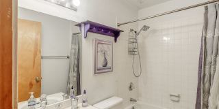 FRISCO ! Furnished! 1 pet negotiable!  An Artist's retreat! Must see. Gallery 22