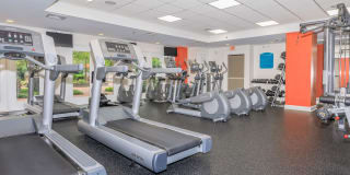 Glenview House Gallery 41