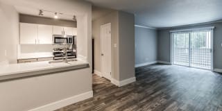 Lexington Gallery 12