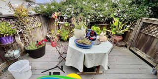 Lovely 2 bed 2 bath available for July and August 2026! Gallery 31