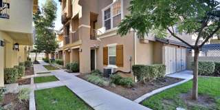 2708 Black Locust Court Gallery 3