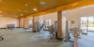 Forena Revelstoke Gallery 44