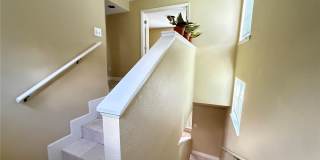 13212 ARBOR ISLE DRIVE Gallery 18