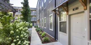 Thrive Argenta Gallery 29