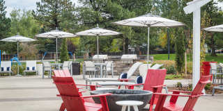 Village Gardens Gallery 11