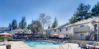 The Harlow Gallery 44