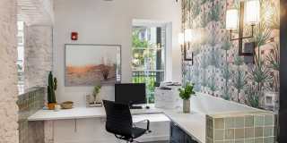 AMLI 300 Gallery 5