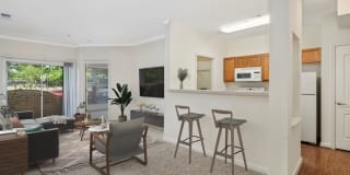 Haven Largo Gallery 13