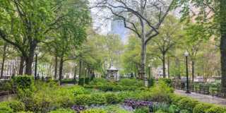 1903 SPRUCE Street Gallery 2