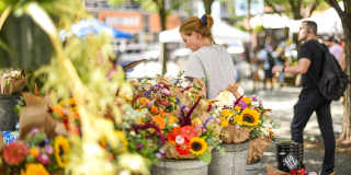 The View North Hills Gallery 42