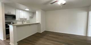 6736 Cleon Ave Gallery 5