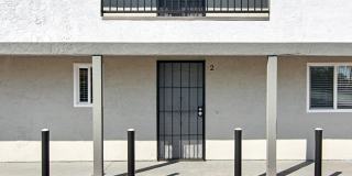 Pacific Cove Gallery 9