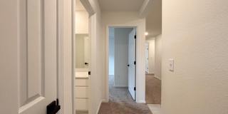 2894 WINDSOR LAKES Way Gallery 7