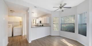 Bristle Pointe Gallery 20