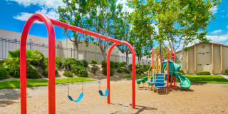 Las Ventanas Gallery 21