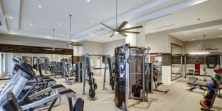 Sofia Coral Gables Gallery 7