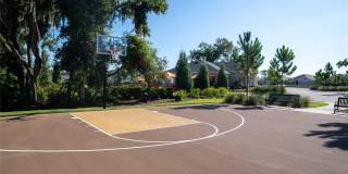 10231 OPALINE SKY COURT Gallery 17