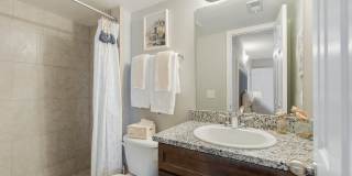 Sea Oats Sea Oats Gallery 79