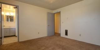 The Firs Gallery 2