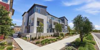 158 Restore Gallery 48