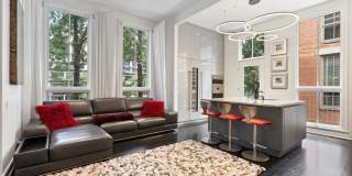 447 N McClurg Court Gallery 14