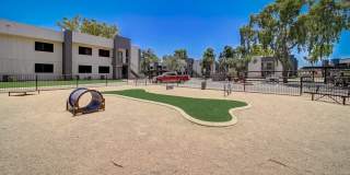 Rise at Estrella Park Gallery 49