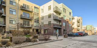 Modern 1 BDR in Peloton - Ground Floor - Full Accessible Gallery 28