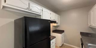 9532 Chi Chi Cv Gallery 3