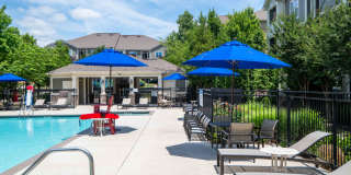 Oasis at Montclair Gallery 17