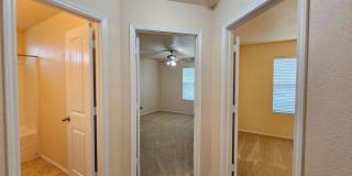 AVAILABLE NOW! Gallery 15