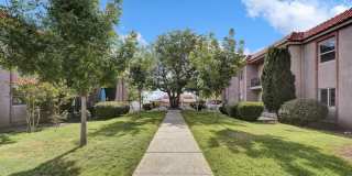 252 SHADOW MOUNTAIN Drive Gallery 41