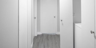 Avana Evergreen Gallery 22