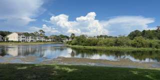 4053 Crockers Lake Blvd #2421 (Vintage Grand) Gallery 47