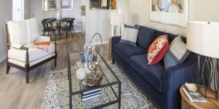Cassia Apartments Gallery 6